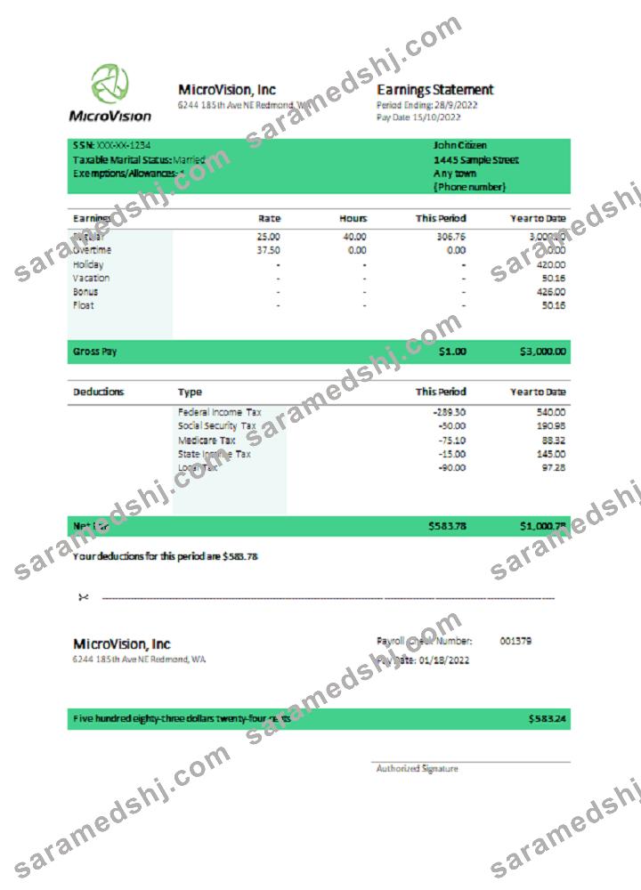 USA MicroVision informational company pay stub
